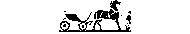Pakeeza Brand
